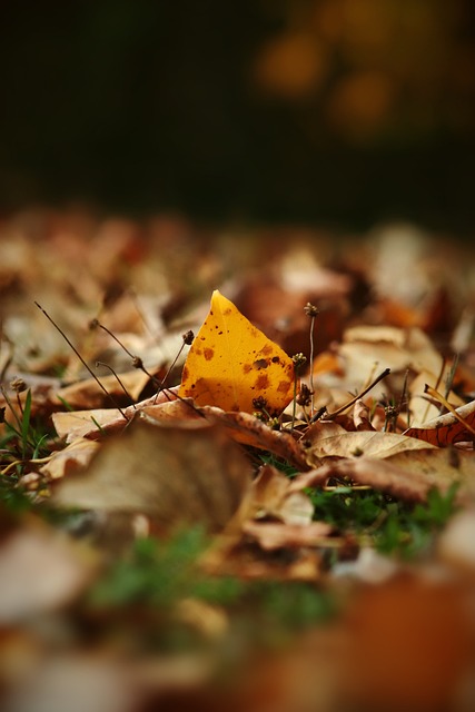 他一上场球队气质直接变了