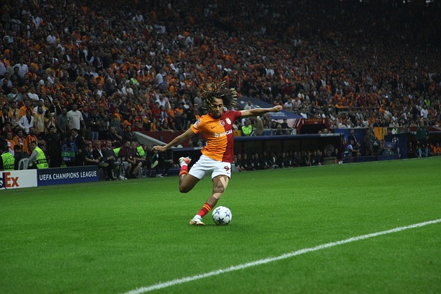 这也使得球 这也使得球