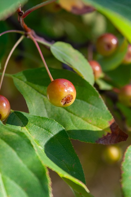 年轻一代的 年轻一代的