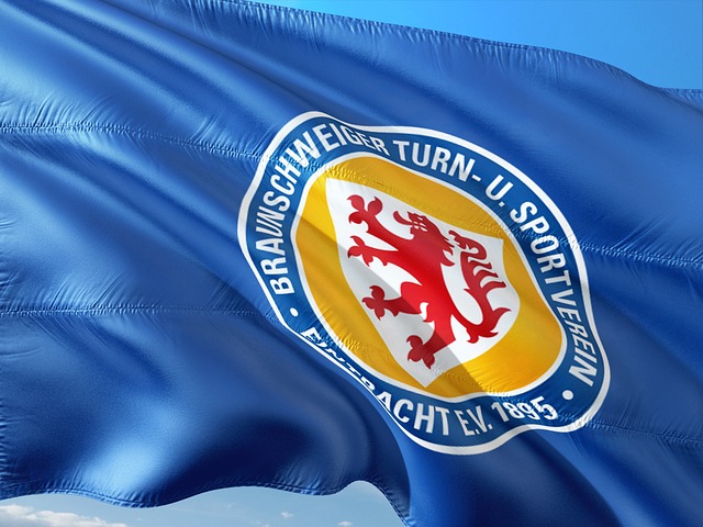 塞尔斯在扑 塞尔斯在扑