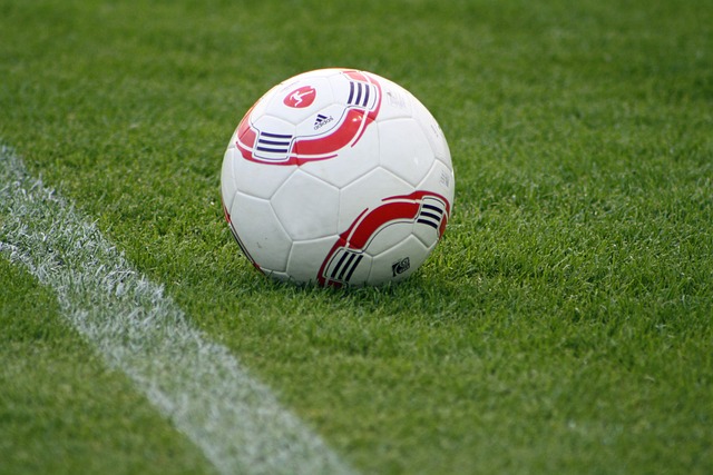 视为队中灵 视为队中灵