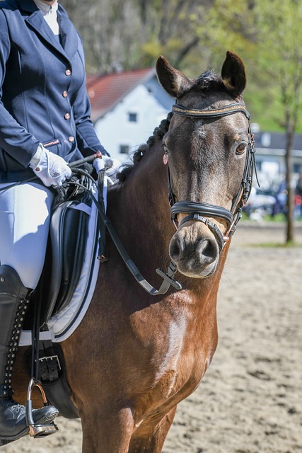 常常令对手 常常令对手