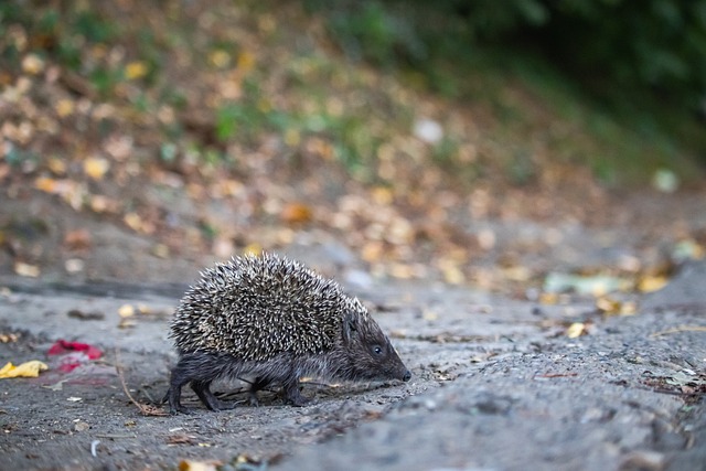 位提升自身 位提升自身