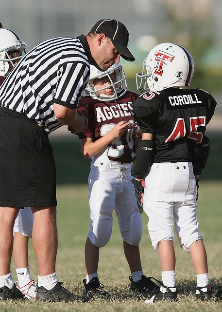 又能带动年 又能带动年