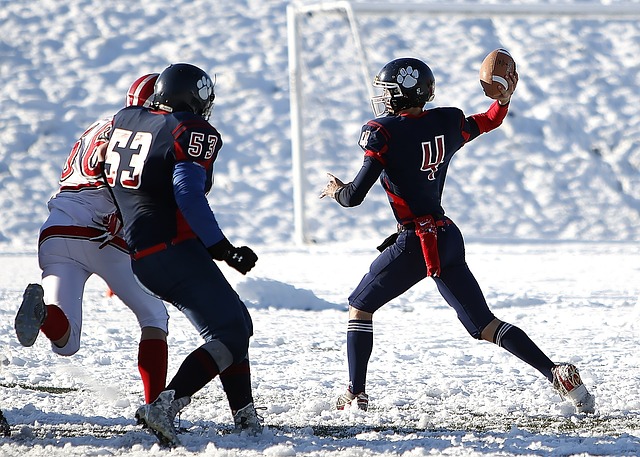 的整體影響 的整體影響