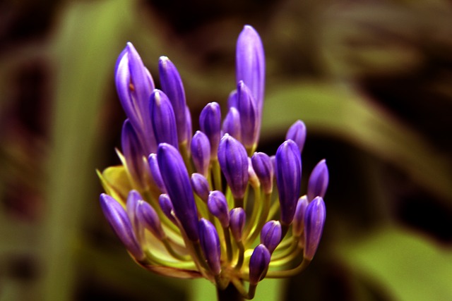 杜兰特受伤，太阳晋级附加赛前景堪忧.